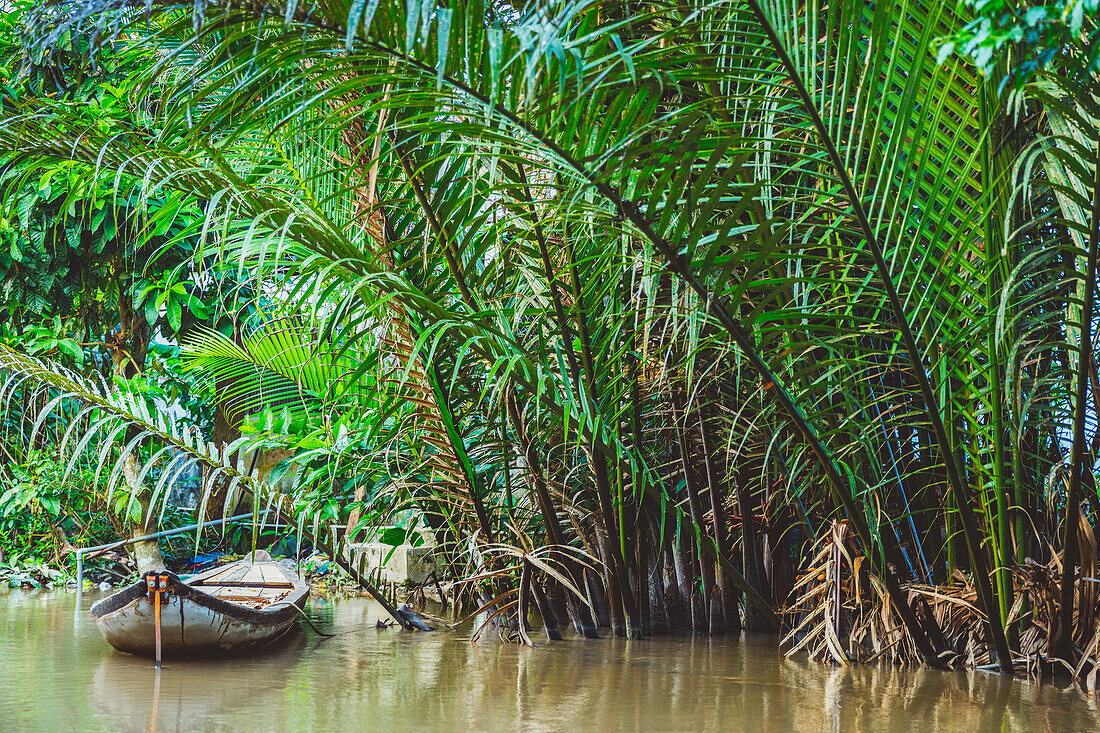 Boat in the river along the shore with lush fronds, Mekong River Delta; Vietnam