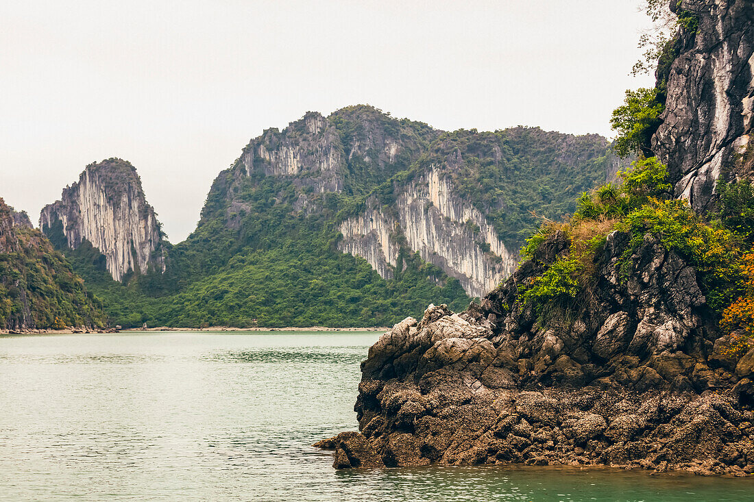 Mit Wasser und Laub bedeckte Kalksteinformationen, Ha Long Bay; Provinz Quang Ninh, Vietnam
