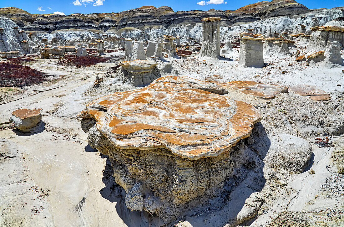 Einzigartige und gemusterte Felsoberflächen, Bisti Badlands, Bisti/De-Na-Zin Wilderness, San Juan County; New Mexico, Vereinigte Staaten von Amerika