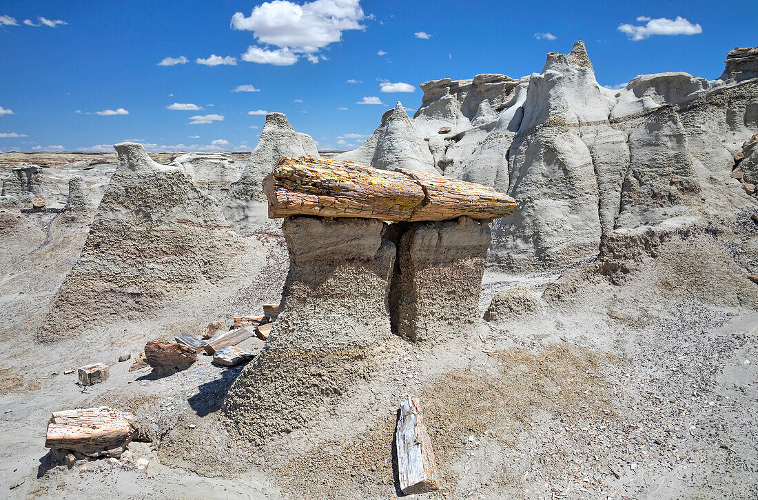 Felsformationen und versteinertes Holz, Bisti Badlands, Bisti/De-Na-Zin Wilderness, San Juan County; New Mexico, Vereinigte Staaten von Amerika