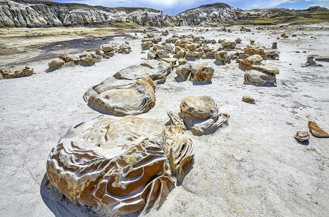 Einzigartige und gemusterte Felsoberflächen, Bisti Badlands, Bisti/De-Na-Zin Wilderness, San Juan County; New Mexico, Vereinigte Staaten von Amerika