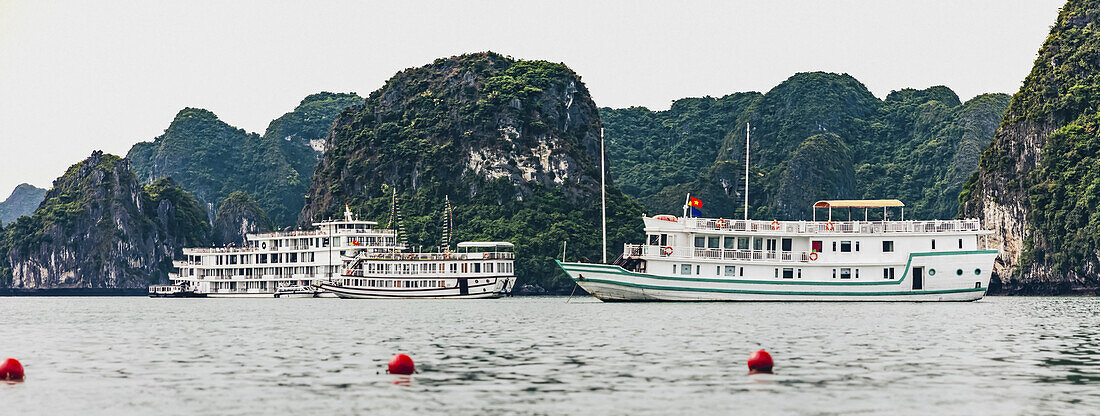 Ha Long Bucht mit Booten; Quang Ninh Provinz, Vietnam