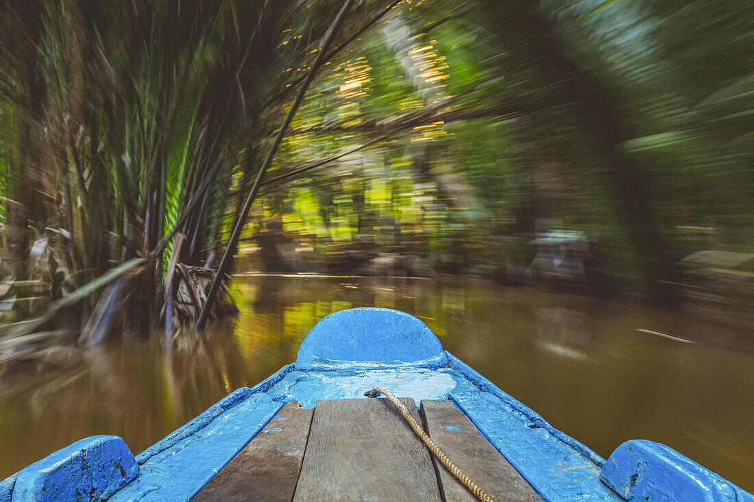 Boat on the Mekong River, Mekong River delta; Vietnam