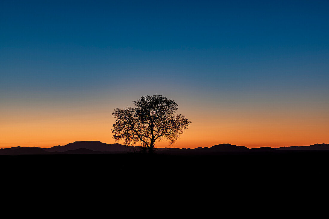 Sunrise in Aluvlei, Namib-Naukluft National Park; Namibia