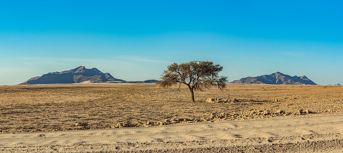 Namib-Naukluft National Park; Namibia
