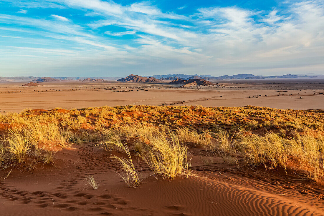 Elim-Düne, Sesriem, Namib-Naukluft-Nationalpark, Namib-Wüste; Namibia