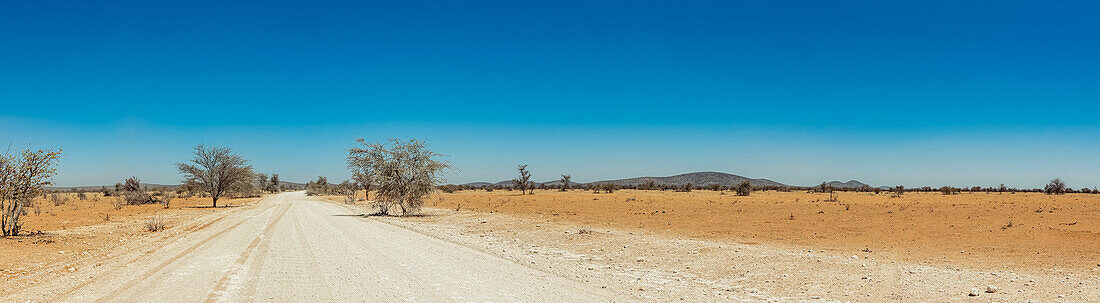 Long open road, Etosha National Park; Namibia