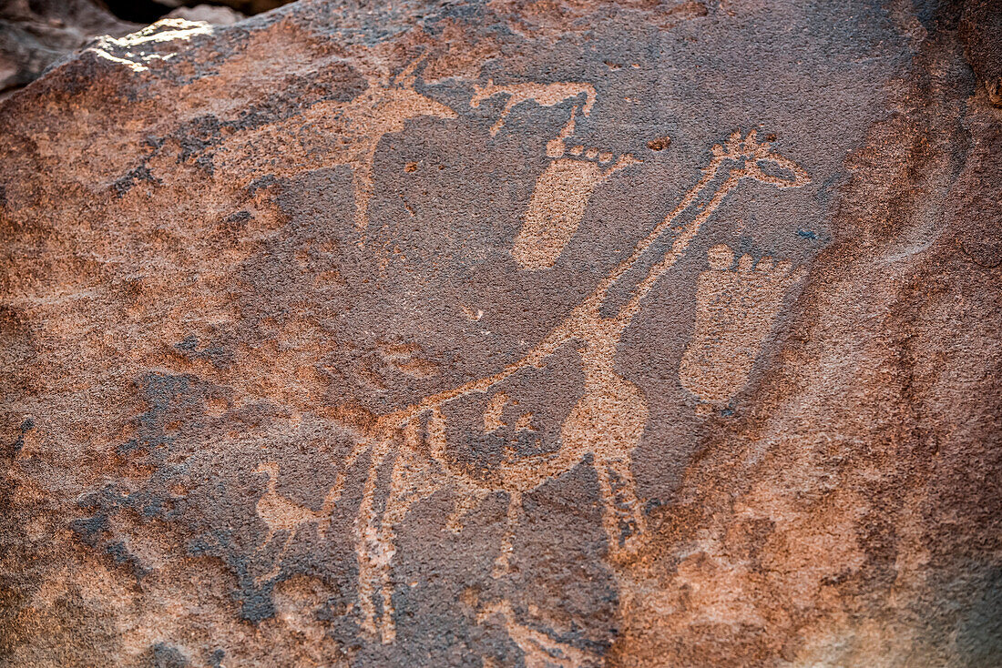 Twyfelfontein, an ancient rock engravings site in Damaraland; Kunene Region, Namibia