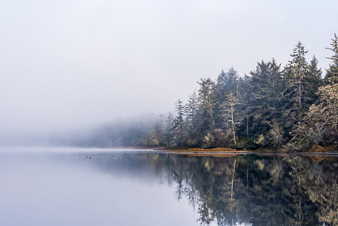 Fog begins to lift from a peaceful scene at Fort Stevens State Park on the Oregon Coast; Hammond, Oregon, United States of America