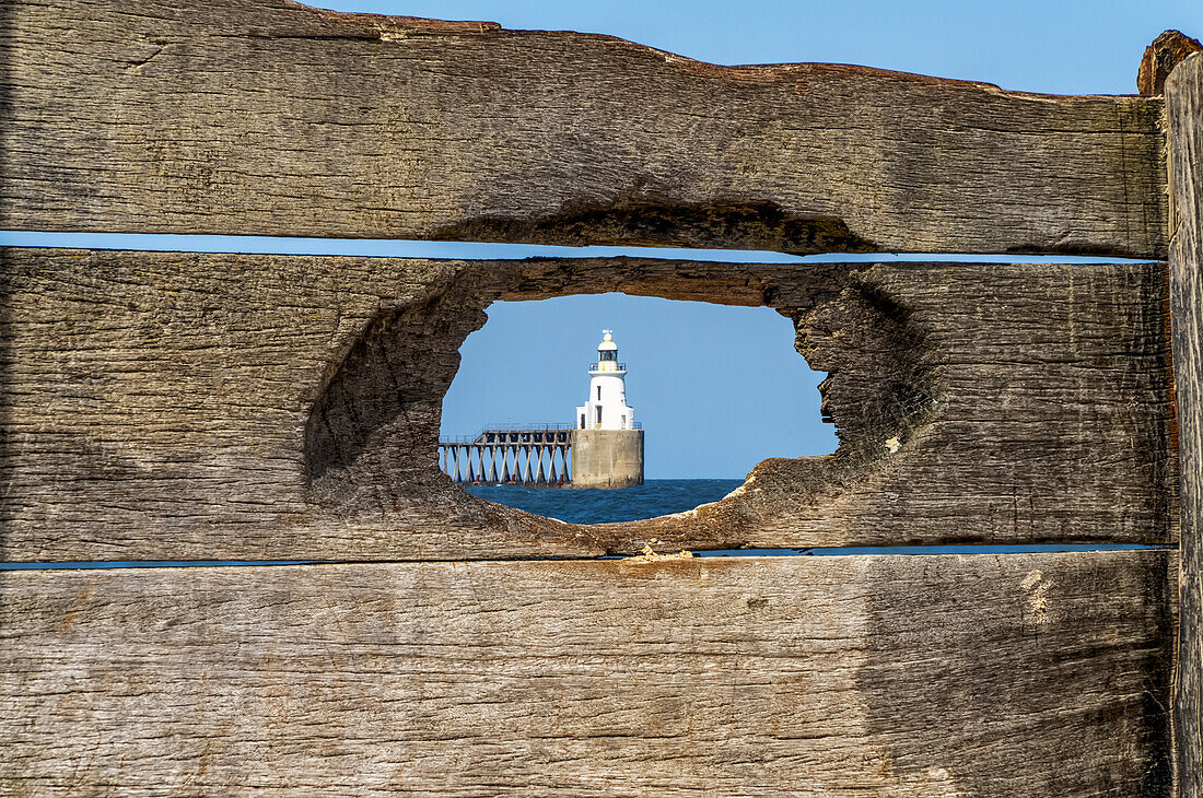 Lighthouse at the end of a pier viewed through a hole in a weathered wooden fence; Blyth, Northumberland, England