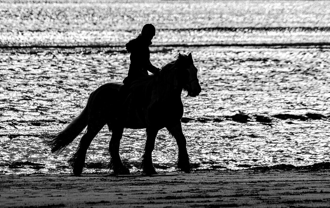 Silhouette eines Pferdes und eines Reiters an einem Strand, die am Wasser entlang reiten; Sunderland, Tyne and Wear, England