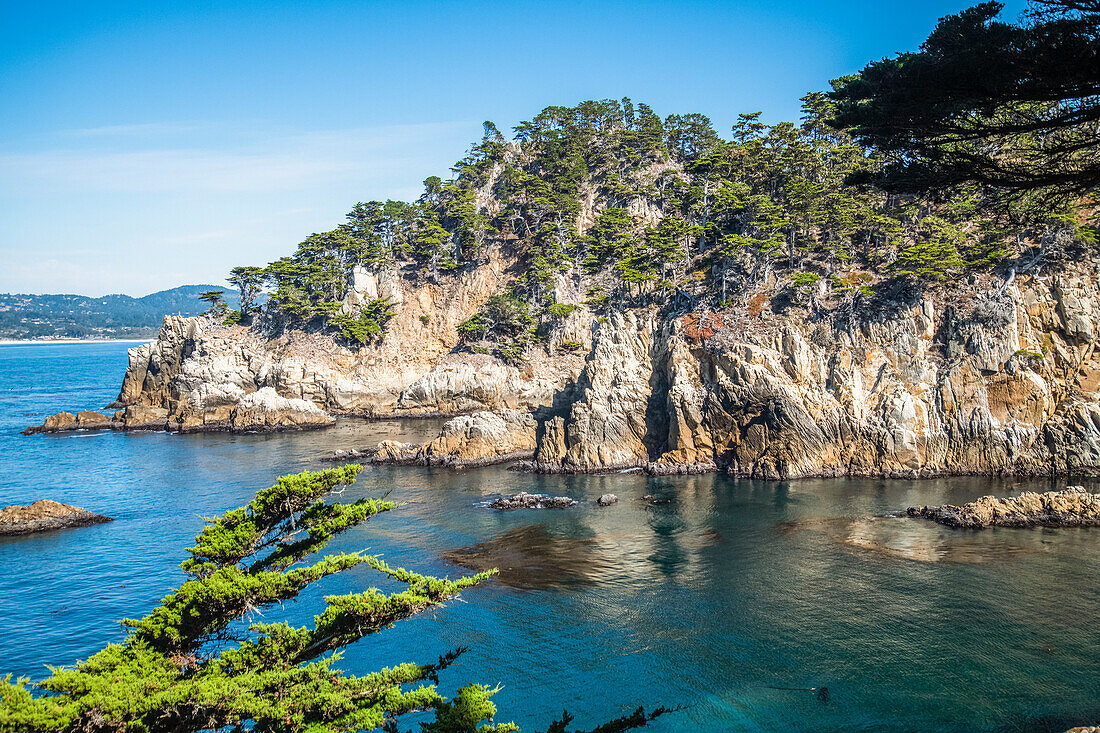 Baumbewachsene felsige Halbinsel und zerklüftete Küstenlinie im Point Lobos State Natural Reserve; Kalifornien, Vereinigte Staaten von Amerika