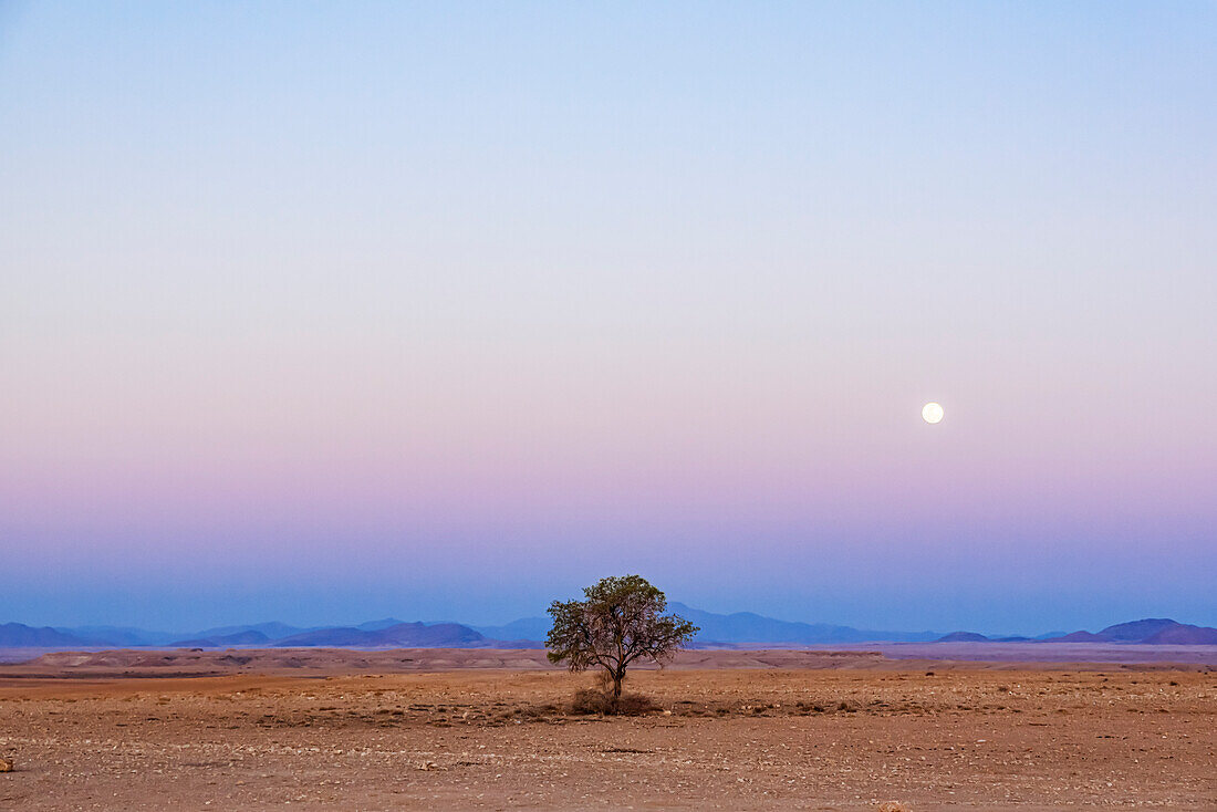 Full Moon in Aluvlei, Namib-Naukluft National Park; Namibia