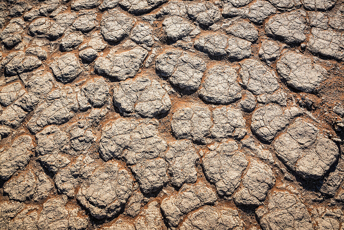 Dürre, Sossusvlei, Namib-Wüste, Namib-Naukluft-Nationalpark; Namibia