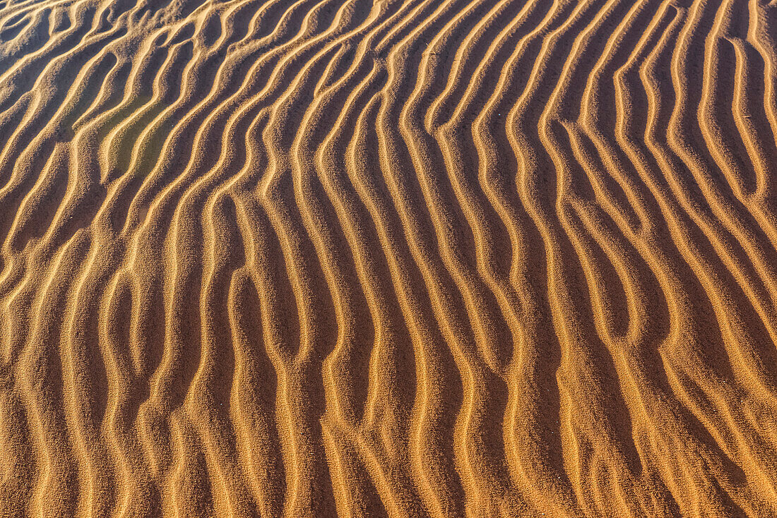 Sand dunes, Sossusvlei, Namib Desert, Namib-Naukluft National Park; Namibia