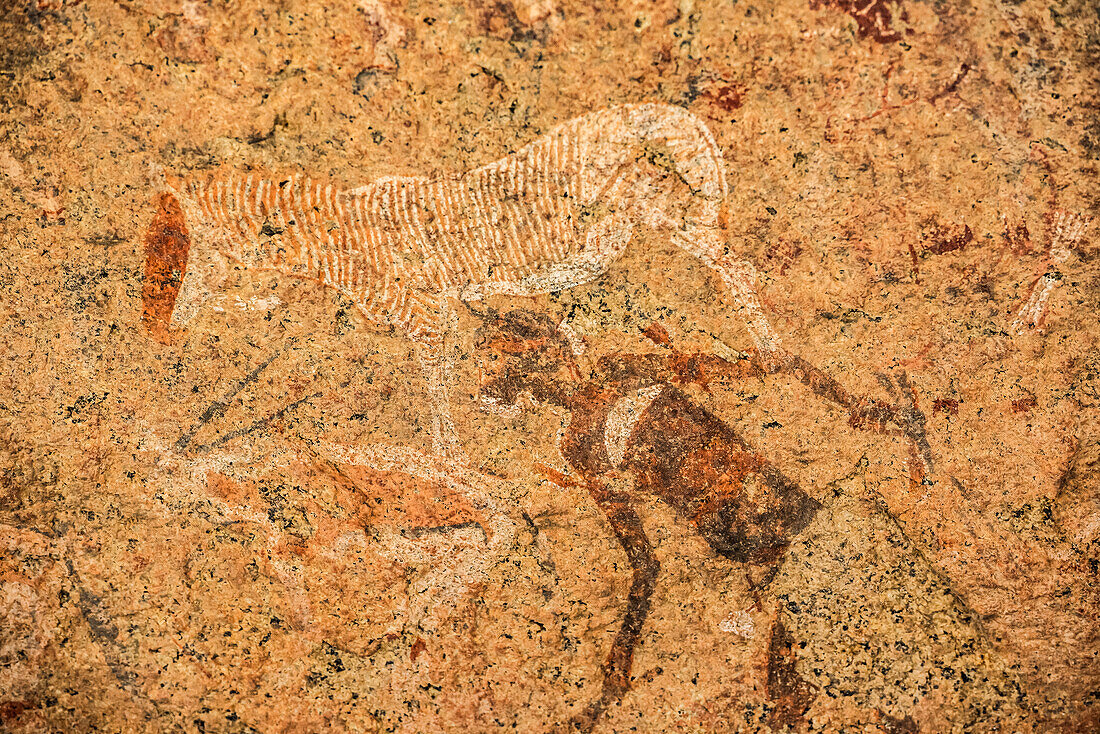 The White Lady rock painting, Brandberg Mountain, Damaraland; Kunene Region, Namibia