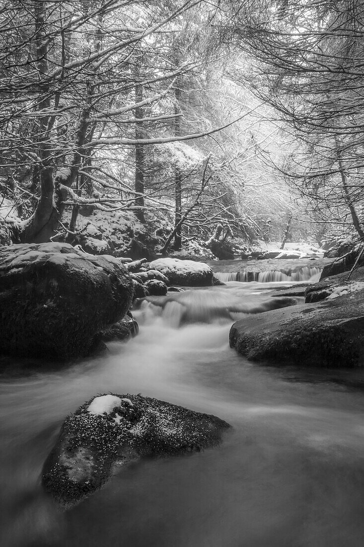 Black and white image of a river cascading through a forest in winter, Galty Mountains; County Tipperary, Ireland