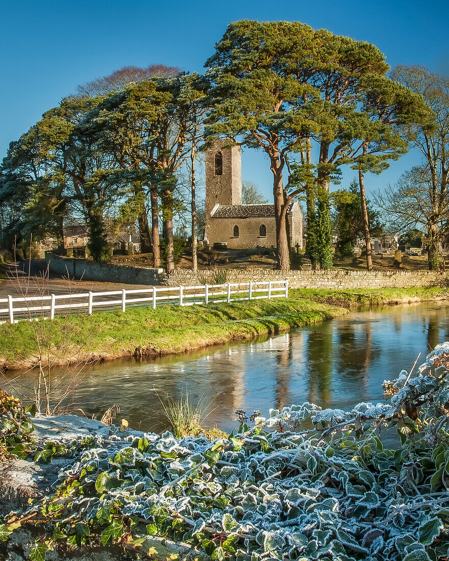 Shanrahan Church, an old church ruins framed by big trees covered in frost in the morning with a river in the foreground; County Tipperary, Ireland