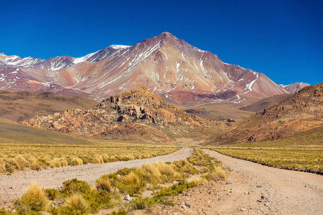 Altiplano landscape; Potosi, Bolivia