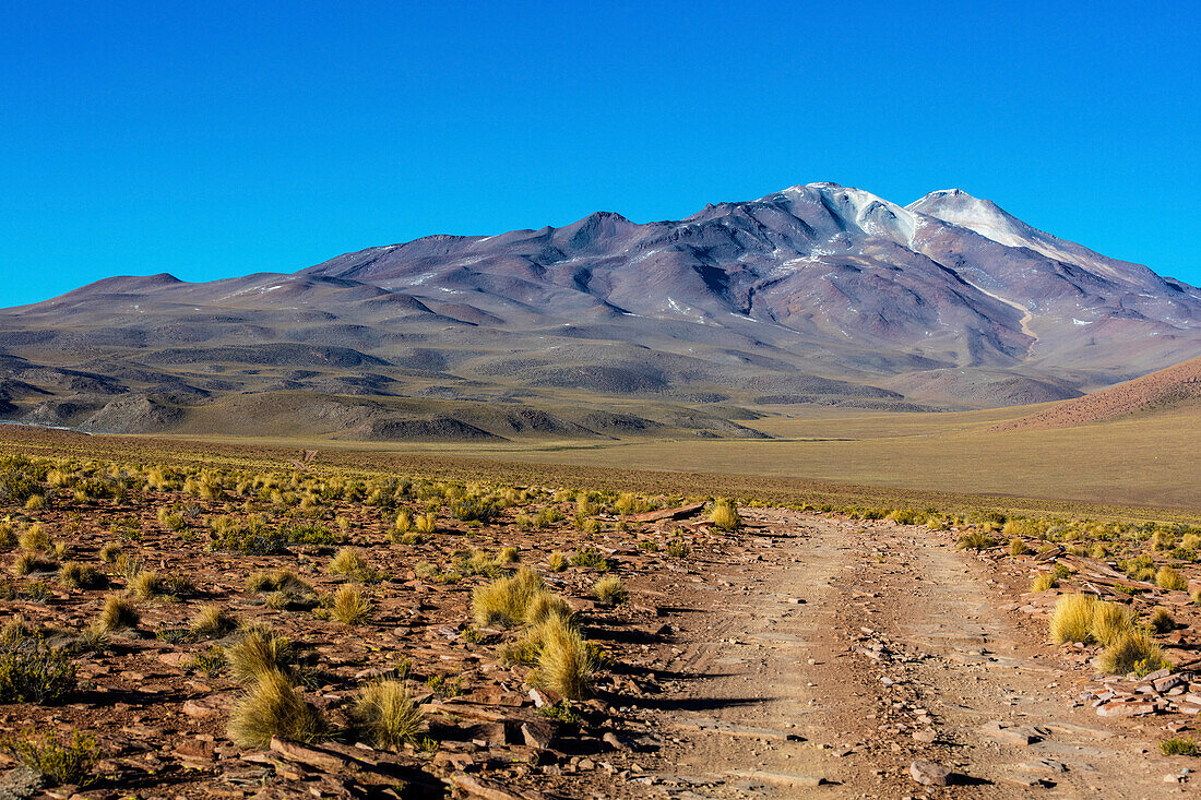 Altiplano landscape; Potosi, Bolivia