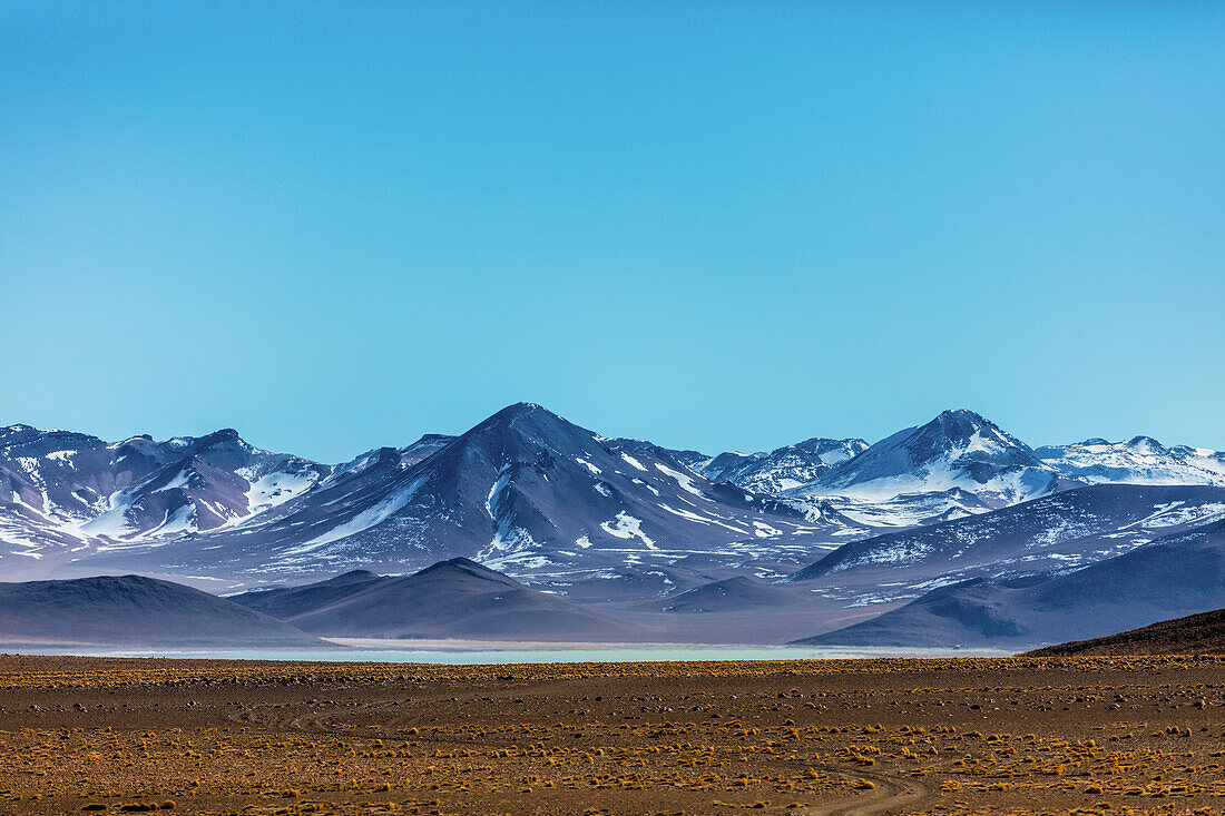 Altiplano-Landschaft; Potosi, Bolivien