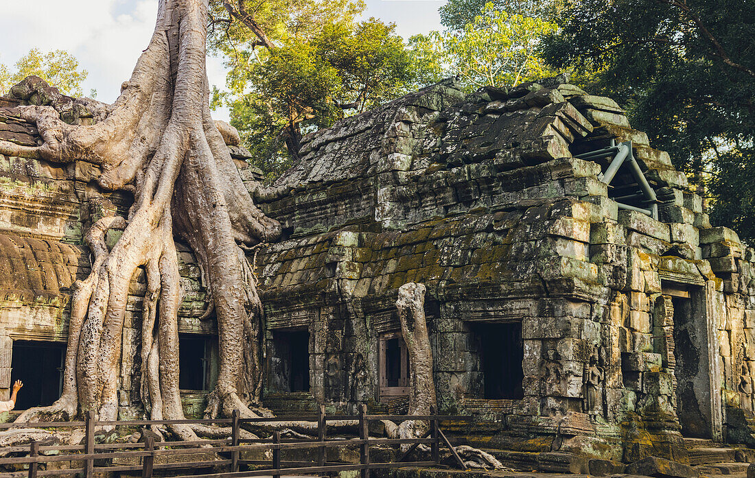 Ta-Prohm-Tempel im Angkor-Wat-Komplex; Siem Reap, Kambodscha