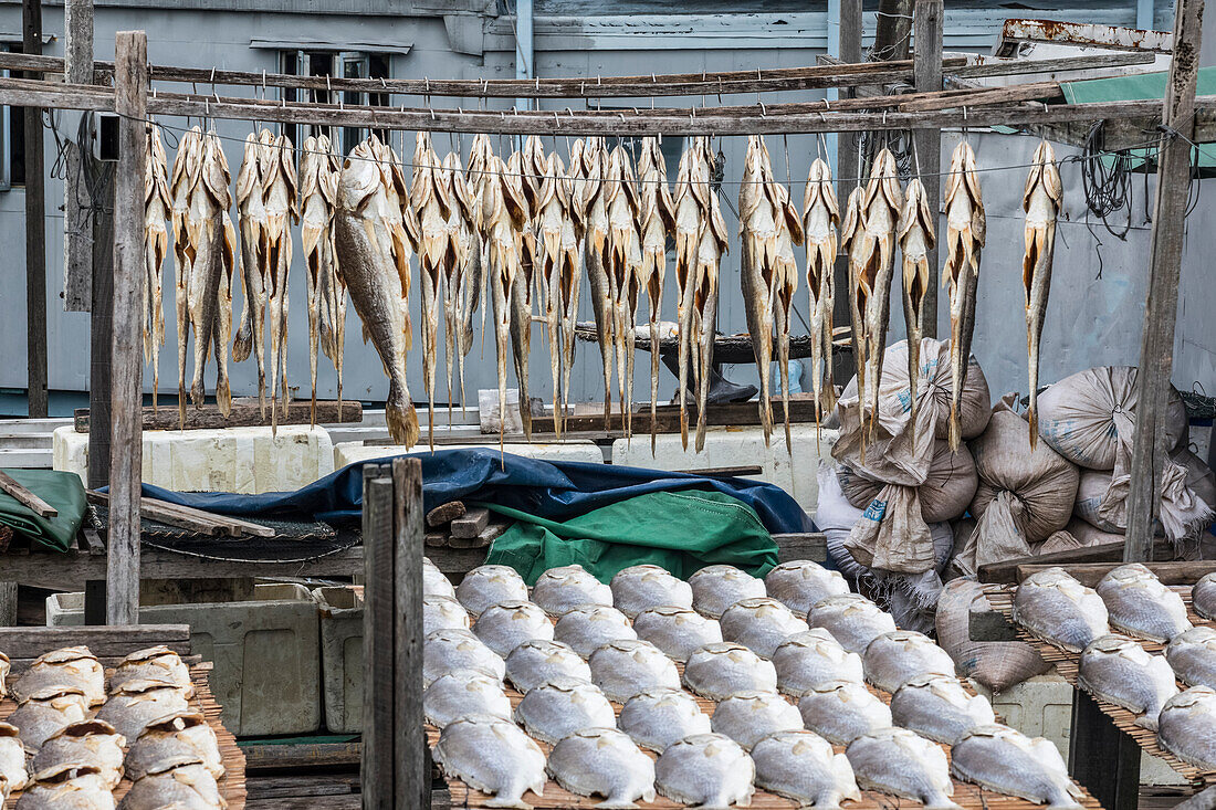 Zum Trocknen aufgehängter Fisch im Fischerdorf Tai O; Hongkong, China