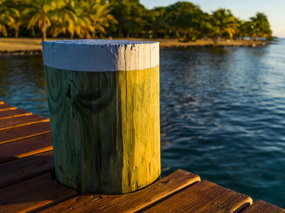 Post on a dock, Placencia Peninsula; Belize