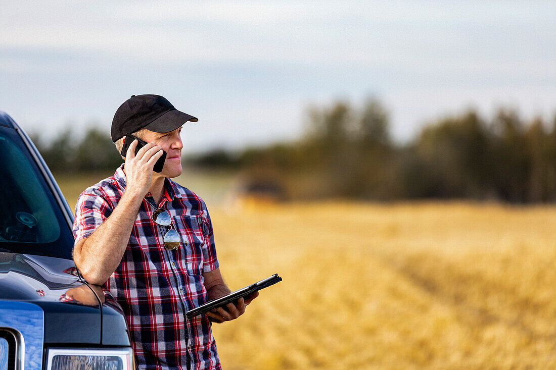 A farmer making a call and using his tablet to help manage the wheat harvest while a combine is working in the background: Alcomdale, Alberta, Canada