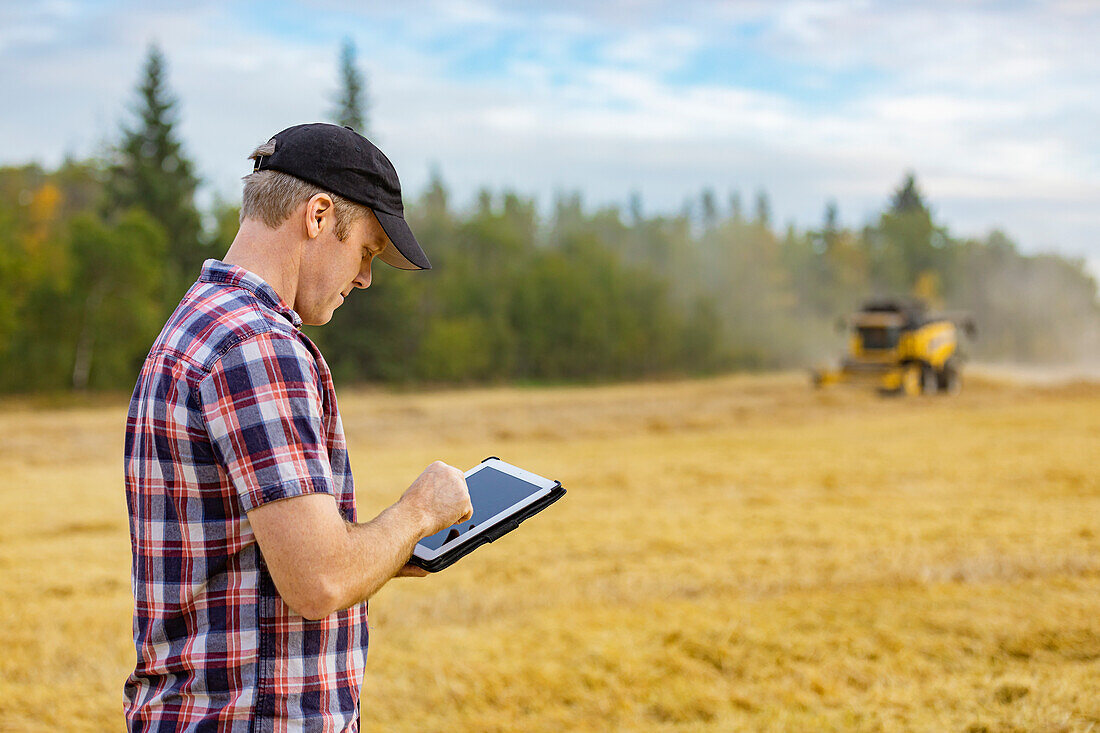 Ein Landwirt nutzt sein Tablet, um die Weizenernte zu verwalten, während im Hintergrund ein Mähdrescher arbeitet: Alcomdale, Alberta, Kanada