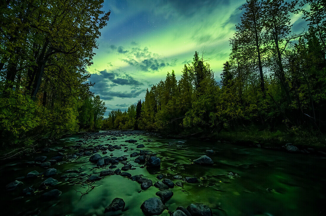 Aurora Borealis, or Northern Lights, light up the Yukon night skies along the Dempster Highway; Yukon, Canada