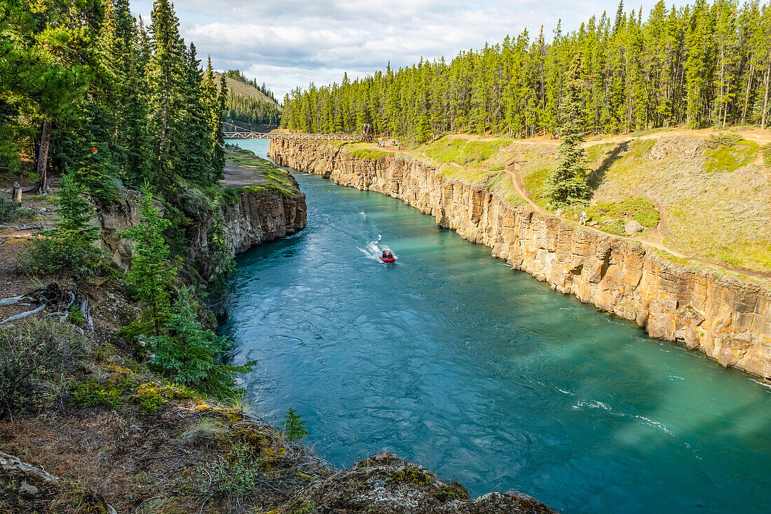 Motorboat going up the Yukon River through Miles Canyon inside the borders of Whitehorse; Whitehorse, Yukon, Canada