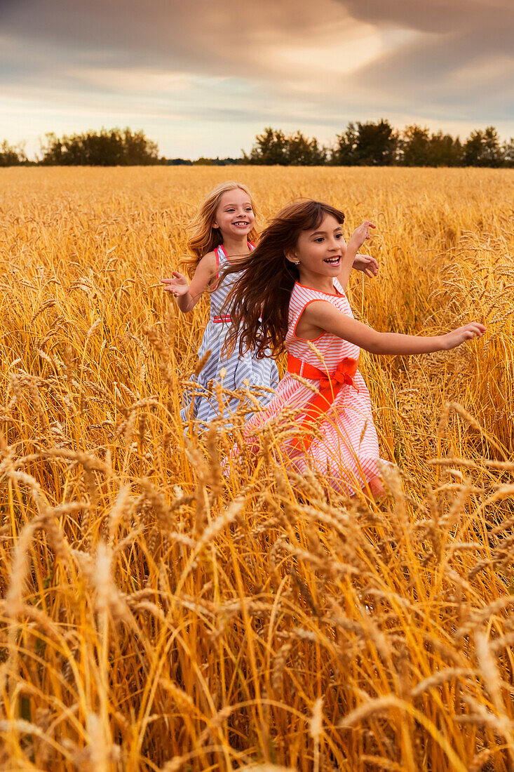 Two young girls running in a golden wheat field; Alberta, Canada