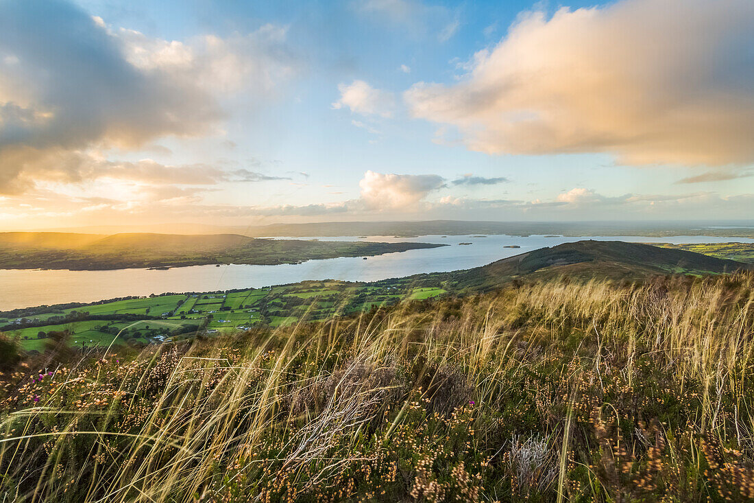 Landschaftsaufnahme eines irischen Hügels und einer Landschaft mit einem See in der Ferne; Tauntinna, County Tipperary, Irland
