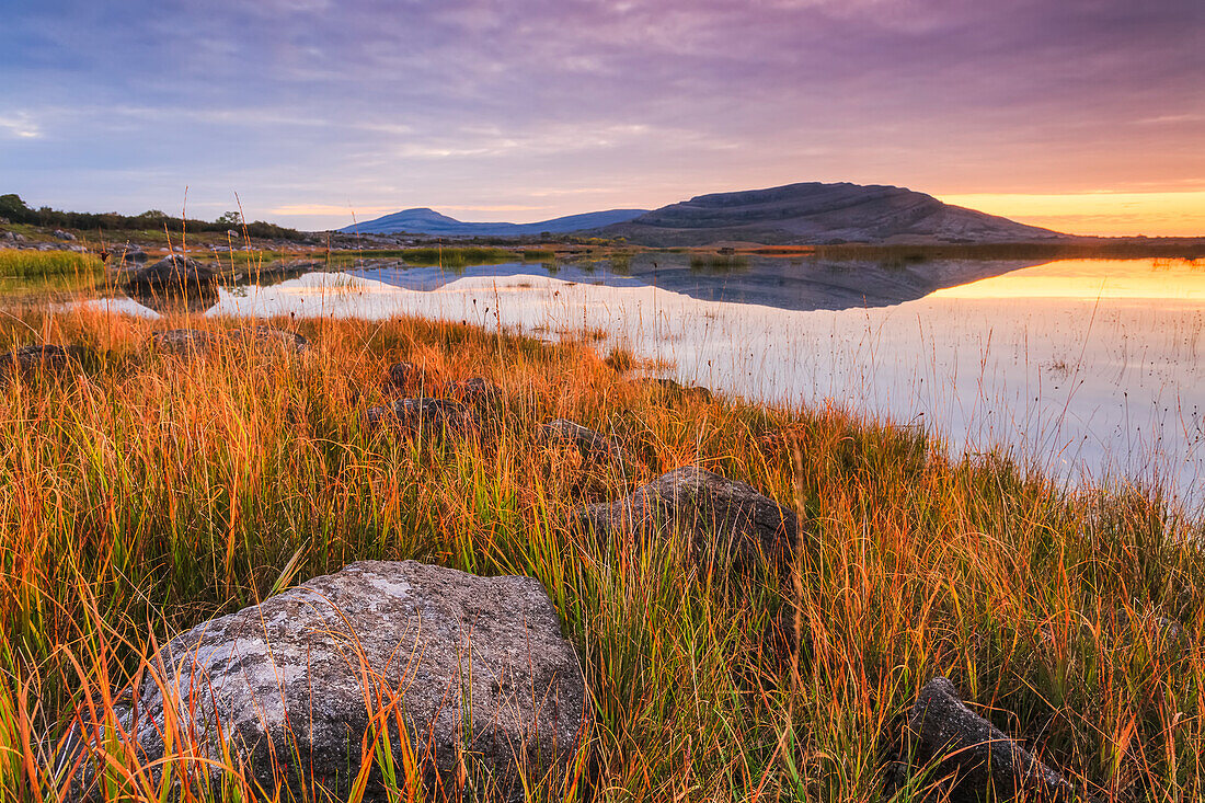 Limestone rock and long grass on the bank of a lake in the burren with a small rock mountain in the distance reflected in the lake at sunrise, Burren National Park; County Clare, Ireland