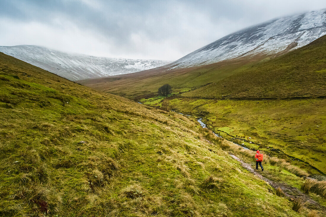 Einsame Wanderin in roter Regenjacke, die einen roten Rucksack trägt, wandert an einem bewölkten Wintertag einen Talweg entlang, der zu schneebedeckten Bergen führt, Galty Mountains; County Tipperary, Irland