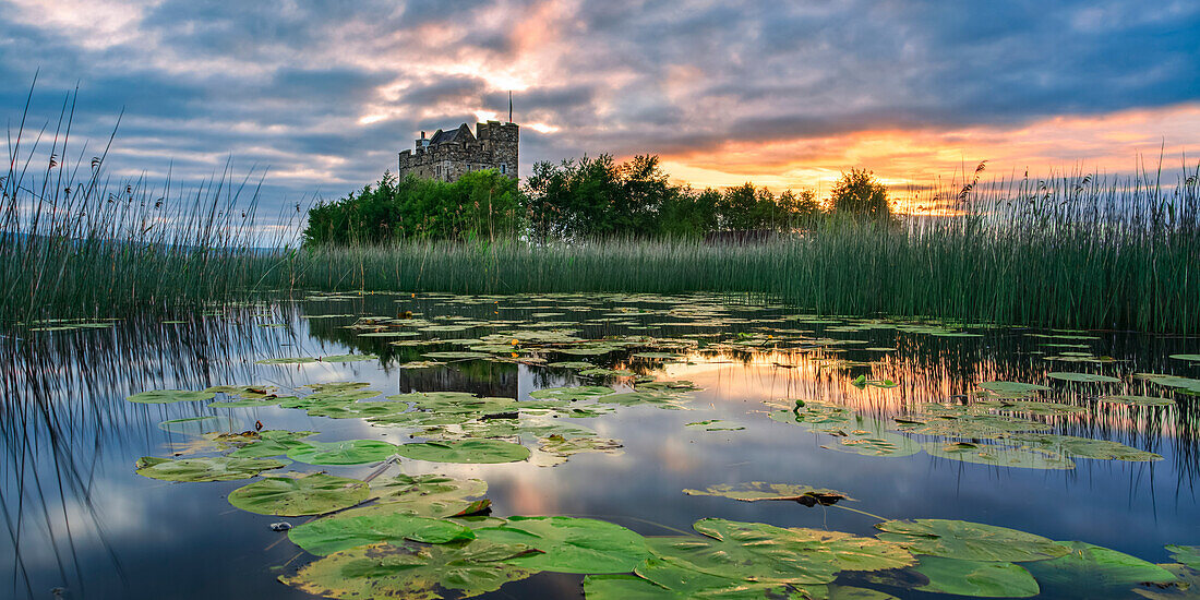 Kleine Burg auf einer Insel im Lough Derg bei Sonnenaufgang im Sommer mit auf dem See schwimmenden Seerosenblättern im Vordergrund; Scariff, Grafschaft Clare, Irland