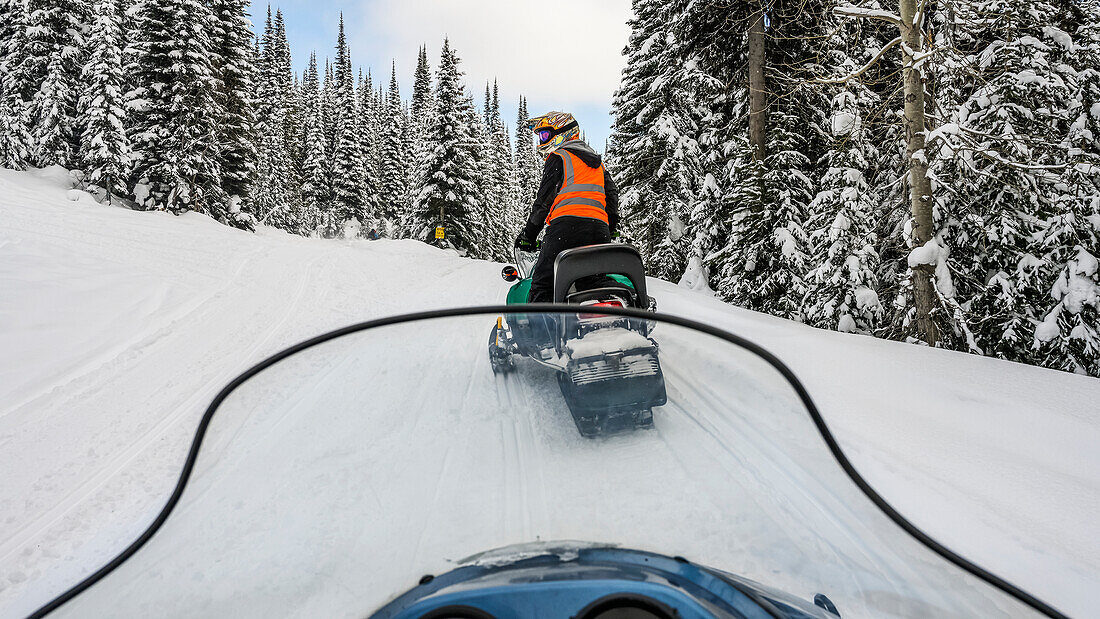 Snowmobile goes down a trail through a forest in winter; Sun Peaks, British Columbia, Canada