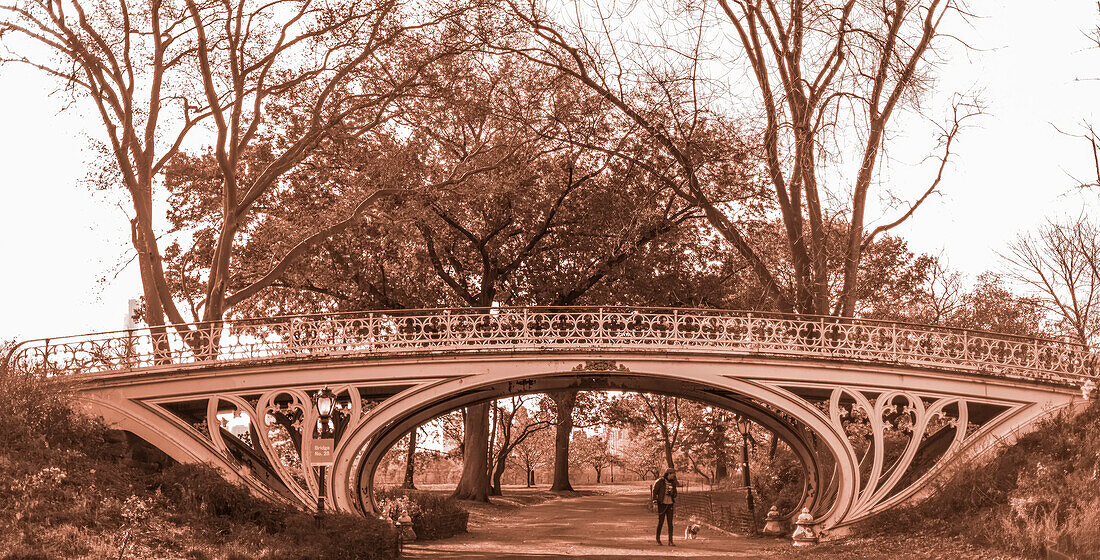 Dekorative Brücke im Central Park und eine Frau, die mit ihrem Hund spazieren geht; New York City, New York, Vereinigte Staaten von Amerika