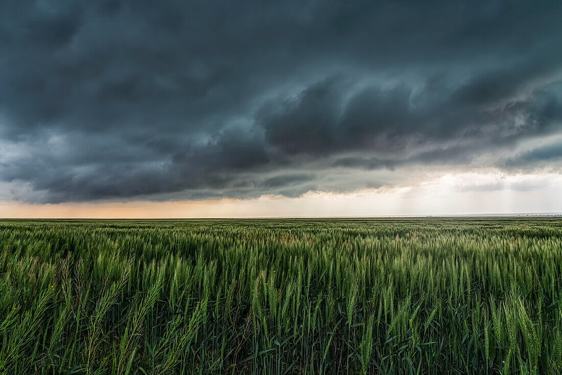 Dramatischer Himmel über den Ebenen des Mittleren Westens der Vereinigten Staaten während der Tornadosaison. Erstaunliche Wolkenformationen zeigen die Kraft und die Schönheit von Mutter Natur; Nebraska, Vereinigte Staaten von Amerika