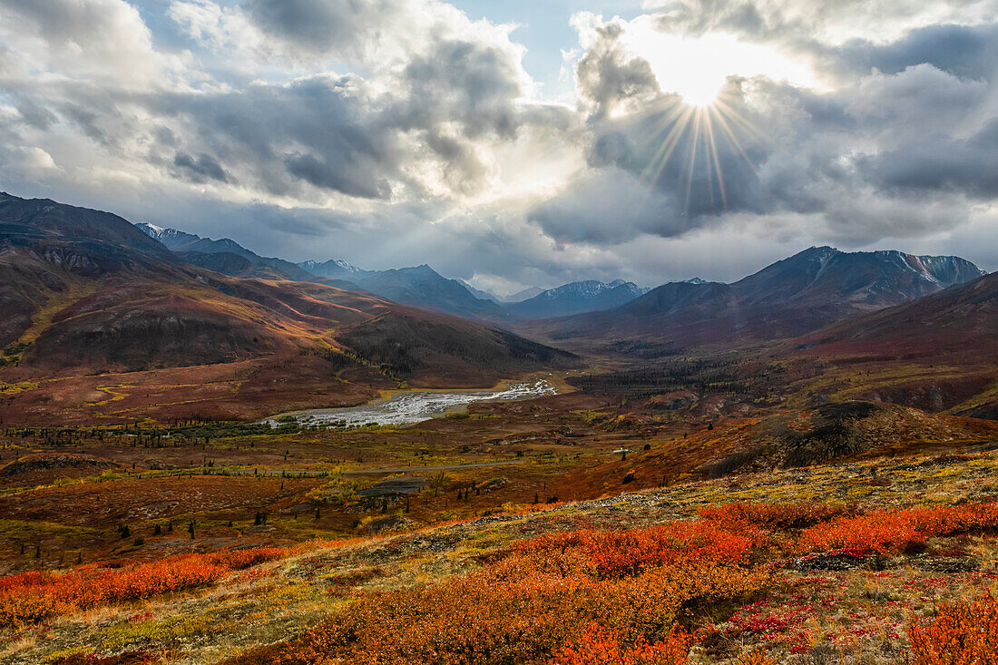 Die Herbstfarben tauchen die Landschaft entlang des Dempster Highway, Yukon, in Farbe. Dieser Ort ist zu jeder Jahreszeit wunderschön, aber im Herbst wirkt er ganz anders; Yukon, Kanada