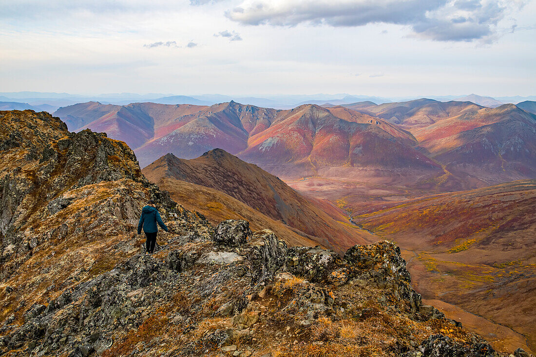 Woman exploring the mountains along the Dempster Highway during autumn in the autumn; Yukon, Canada