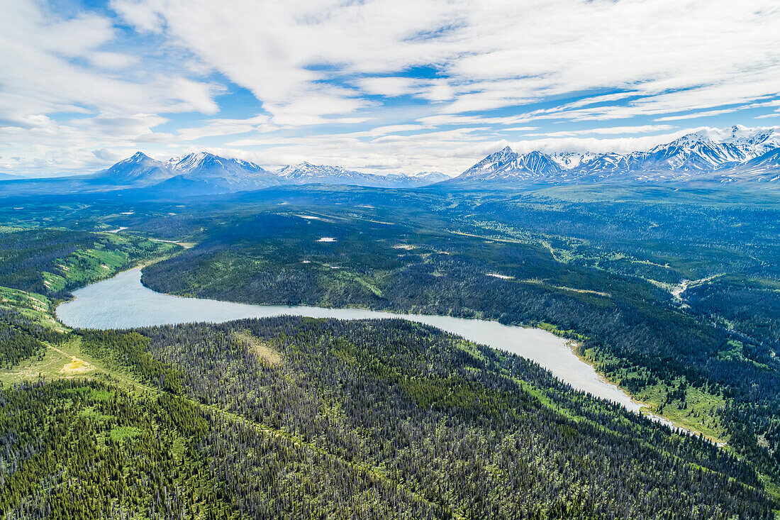 Die Berge bei Haines Junction im Sommer im Yukon; Haines Junction, Yukon, Kanada