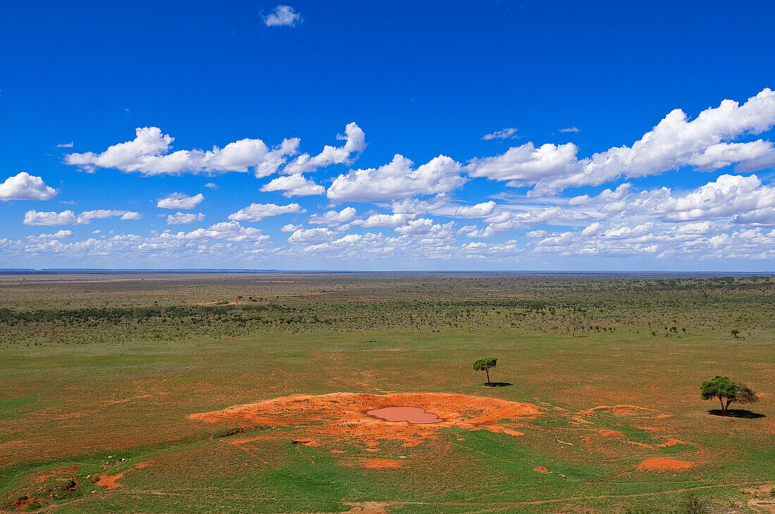 Wasserloch, Tsavo-Nationalpark, Kenia