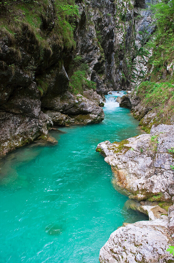 Soca-Fluss, Slowenien