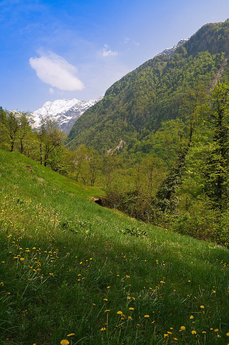 Berg und Landschaft, Slowenien