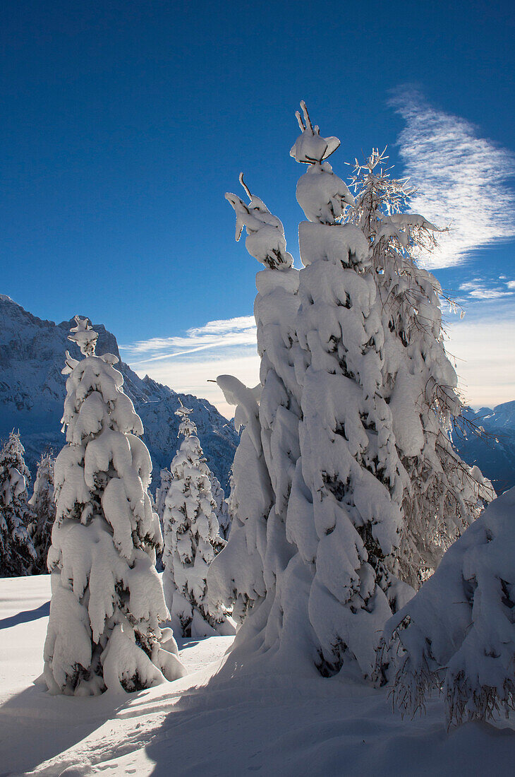 Alleghe, Provinz Belluno, Venetien, Dolomiten, Italien