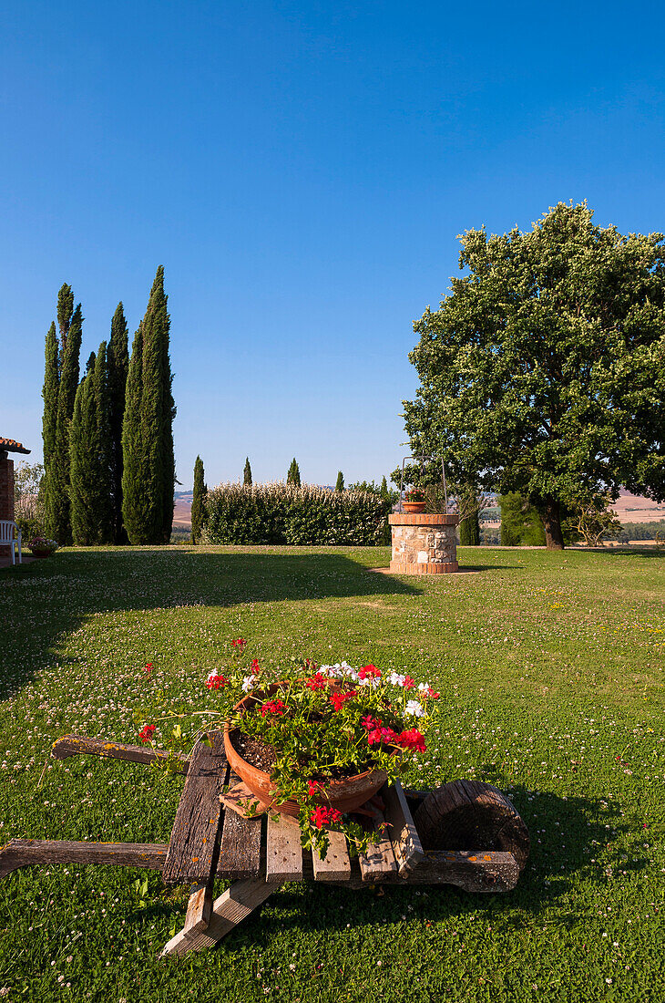 Blick auf einen Garten, Val d'Orcia, Provinz Siena, Toskana, Italien