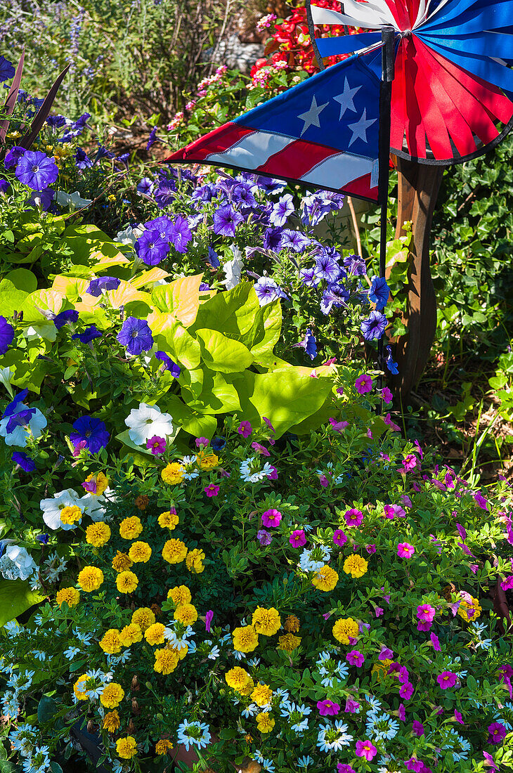 Blumen im Garten mit amerikanischem Flaggen-Pinwheel, Provincetown, Cape Cod, Massachusetts, USA