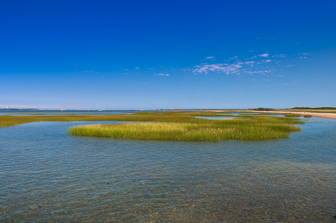 Landscape with Water and Grasses, Provincetown, Cape Cod, Massachusetts, USA